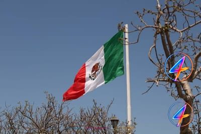 Goose virale en maillot mexicain s'empare du camp de Boston des Bleus