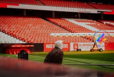 Mourinho Pauses Benfica Offer, Awaits Florentino Pérez