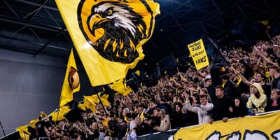 Vitesse shareholders claim dismissal of board, club disputes legality